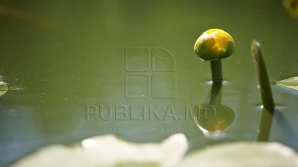 Cerul acoperit de nori va ţine la cald toată ţara  