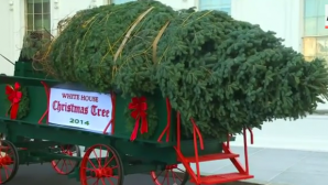 Familia Obama a primit pomul de Crăciun care va fi instalat potrivit unei tradiţii ce datează din 1966