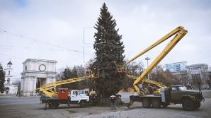 (FOTO) Bradul de Crăciun, instalat în centrul capitalei! Când va fi dat startul sărbătorilor de iarnă