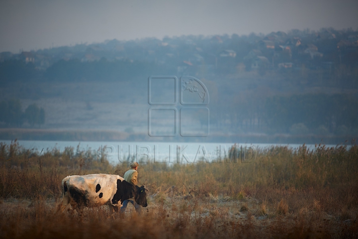 Imagini cu toamna târzie din acest an. Liniştea a pus stăpânire pe Moldova (FOTOREPORTAJ)