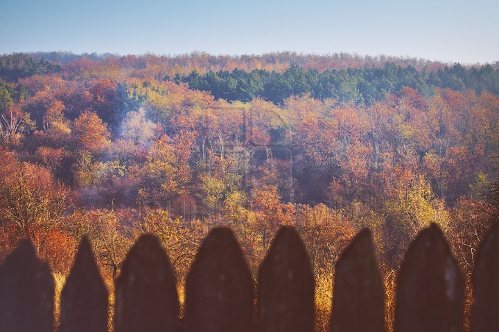 Imagini cu toamna târzie din acest an. Liniştea a pus stăpânire pe Moldova (FOTOREPORTAJ)