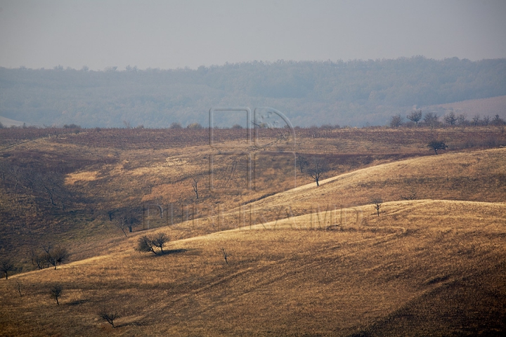 Imagini cu toamna târzie din acest an. Liniştea a pus stăpânire pe Moldova (FOTOREPORTAJ)