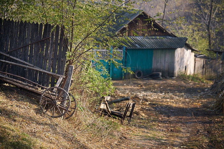 Imagini cu toamna târzie din acest an. Liniştea a pus stăpânire pe Moldova (FOTOREPORTAJ)