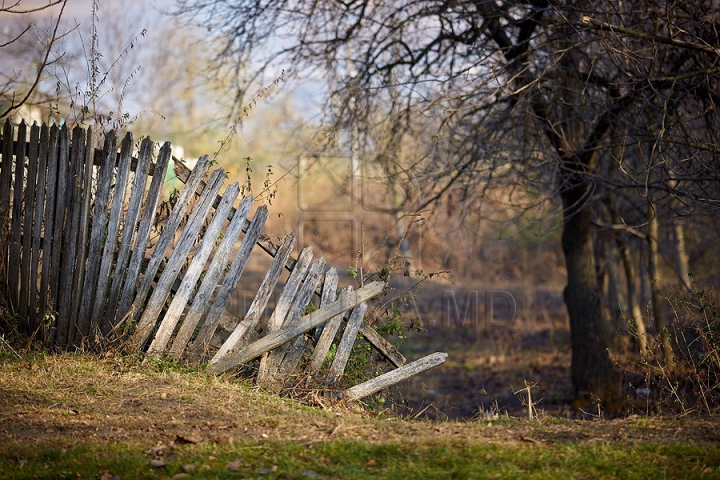 Imagini cu toamna târzie din acest an. Liniştea a pus stăpânire pe Moldova (FOTOREPORTAJ)