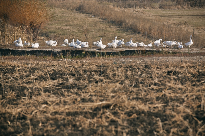 Imagini cu toamna târzie din acest an. Liniştea a pus stăpânire pe Moldova (FOTOREPORTAJ)