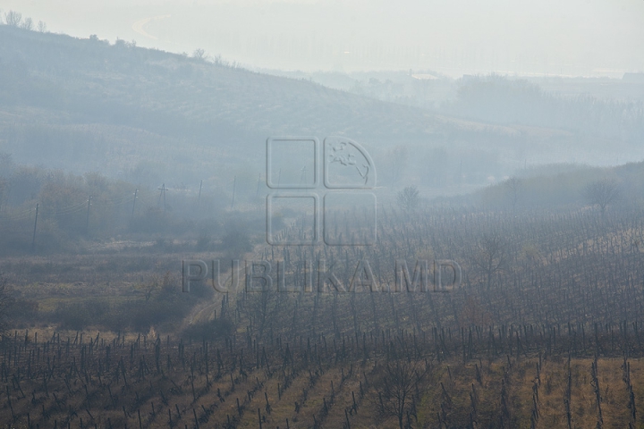 Imagini cu toamna târzie din acest an. Liniştea a pus stăpânire pe Moldova (FOTOREPORTAJ)