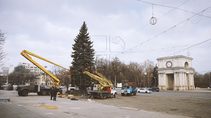 (FOTO) Bradul de Crăciun, instalat în centrul capitalei! Când va fi dat startul sărbătorilor de iarnă