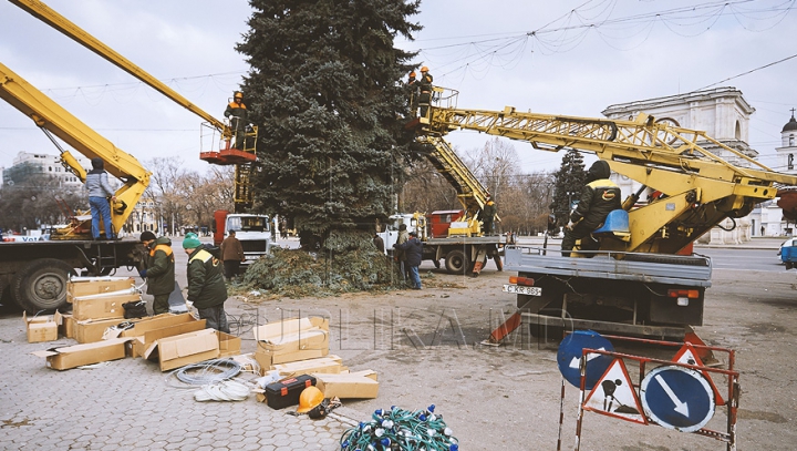 (FOTO) Bradul de Crăciun, instalat în centrul capitalei! Când va fi dat startul sărbătorilor de iarnă