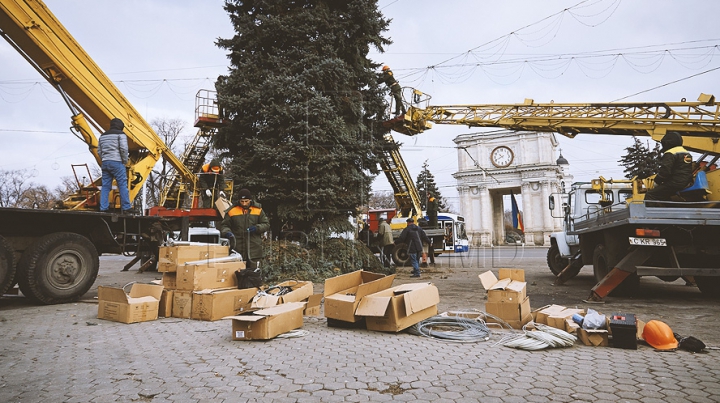 (FOTO) Bradul de Crăciun, instalat în centrul capitalei! Când va fi dat startul sărbătorilor de iarnă