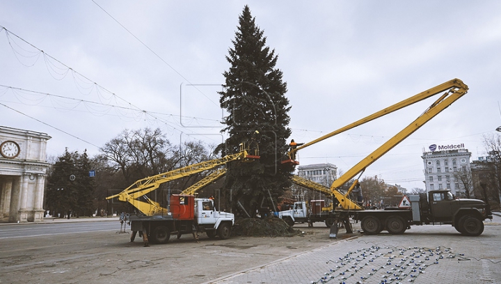 (FOTO) Bradul de Crăciun, instalat în centrul capitalei! Când va fi dat startul sărbătorilor de iarnă