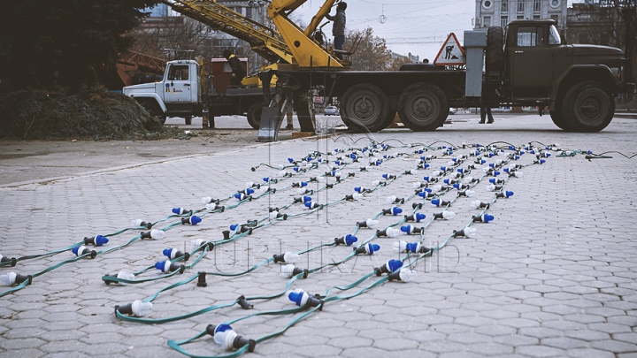 (FOTO) Bradul de Crăciun, instalat în centrul capitalei! Când va fi dat startul sărbătorilor de iarnă