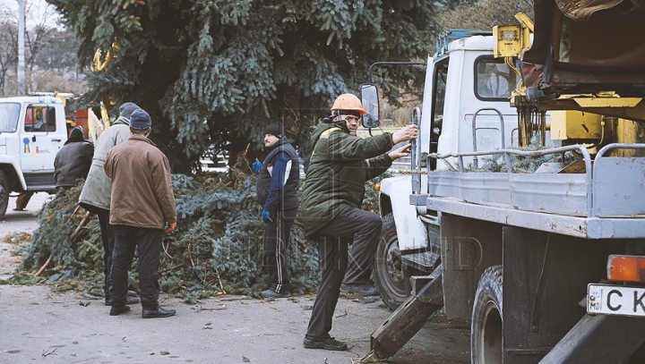 (FOTO) Bradul de Crăciun, instalat în centrul capitalei! Când va fi dat startul sărbătorilor de iarnă