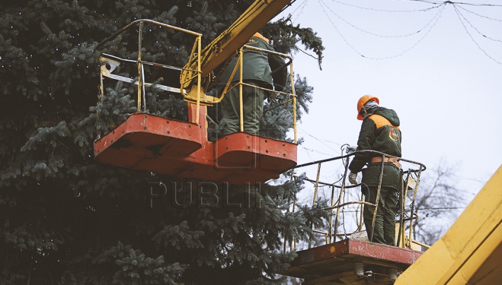 (FOTO) Bradul de Crăciun, instalat în centrul capitalei! Când va fi dat startul sărbătorilor de iarnă