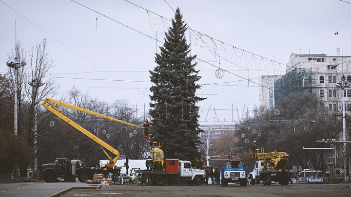 (FOTO) Bradul de Crăciun, instalat în centrul capitalei! Când va fi dat startul sărbătorilor de iarnă