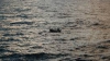 Tragedie în largul Mării Roşii: Zeci de migranţi ilegali s-au înecat 