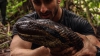 Ce s-a întâmplat cu naturalistul care s-a lăsat înghiţit de viu de o anaconda (VIDEO)