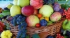 DECIS: Fermierii din Moldova vor exporta mai multe fructe în Uniunea Europeană