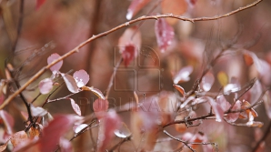 Meteorologii anunță vreme frumoasă în toată țara. Care vor fi maximile termice