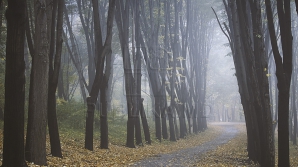 Săptămâna se încheie cu vreme specifică iernii: nori, lapoviţă şi vânt moderat