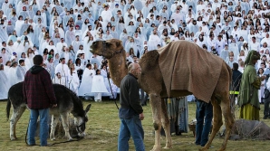 Atmosferă de sărbătoare în SUA: O mie de "îngeri" voluntari au reprodus istoria naşterii lui Iisus 