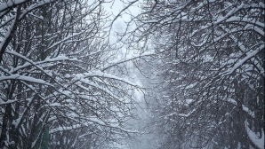 Începem noul an cu vreme deosebit de rece!