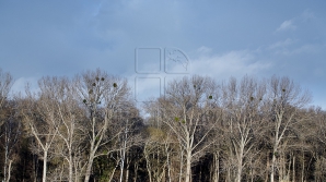 Vreme frumoasă cu cer senin în toată ţara. Maximele se ridică cu câteva grade