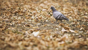 Vremea se menţine rece. Ce surprize meteo ne aşteaptă în weekend