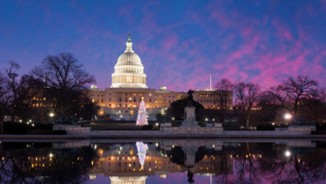 Americanii şi-au inaugurat "Bradul Poporului". Cine a fost cel care a aprins luminiţele