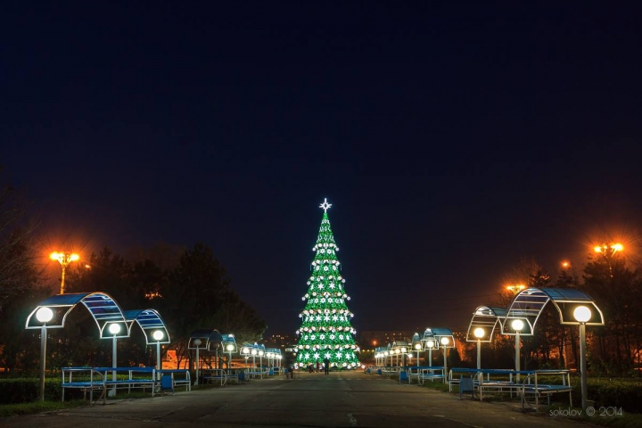 Este mai înalt decât cel din Chişinău. La Tiraspol a fost inaugurat Pomul de Crăciun (GALERIE FOTO)