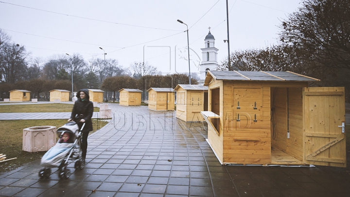 Doi brazi în centrul capitalei! Muncitorii instalează un pom artificial (FOTO)