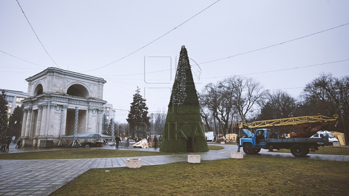 Doi brazi în centrul capitalei! Muncitorii instalează un pom artificial (FOTO)