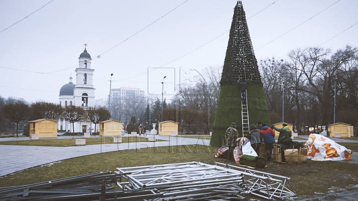 Doi brazi în centrul capitalei! Muncitorii instalează un pom artificial (FOTO)