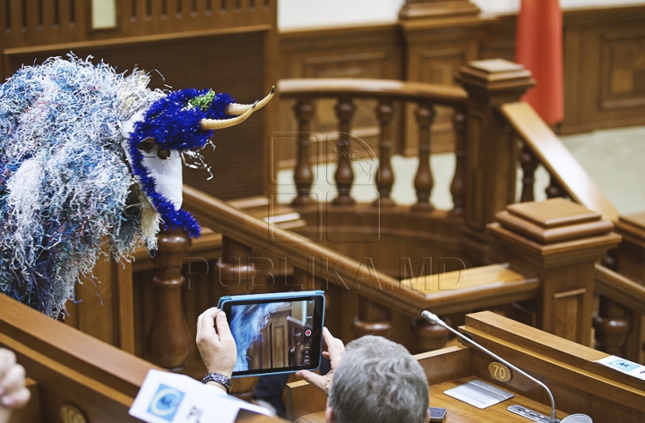 Emoţii şi voie bună la Parlament. Cum a demarat prima şedinţă a noului Legislativ (GALERIE FOTO)