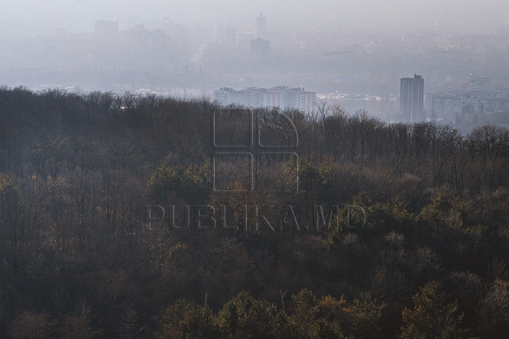 O zi însorită de iarnă. Imagini uluitoare surprinse pe străzile fără omăt ale capitalei (GALERIE FOTO)