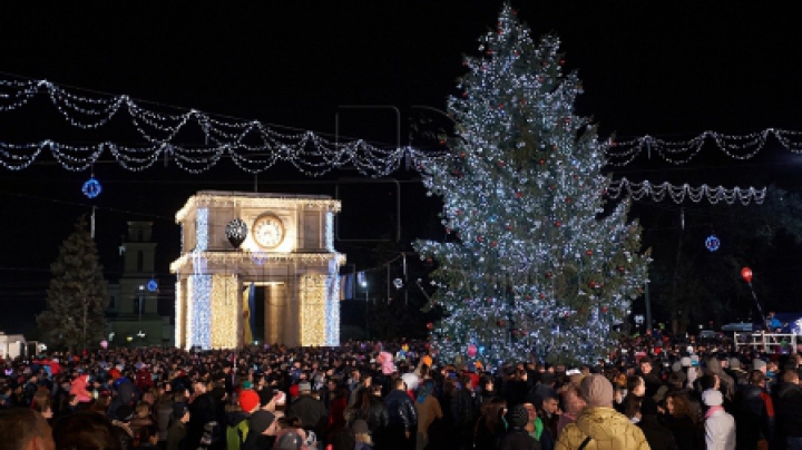 Doi brazi în centrul capitalei! Muncitorii instalează un pom artificial (FOTO)