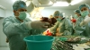 Zeci de milioane de lei vor fi investite în domeniul transplantului de organe şi ţesuturi