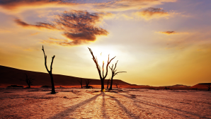 Evoluție tehnologică peste așteptări! China construiește un PARC imens în DEȘERT