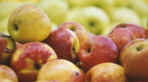 Valoarea produselor moldoveneşti livrate peste hotare a depășit două miliarde de dolari, în 2014 