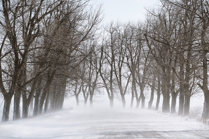 Sărbătoare în Moldova. Cete de colindători vestesc Naşterea Mântuitorului (GALERIE FOTO)