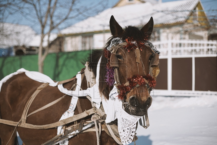 Sărbătoare în Moldova. Cete de colindători vestesc Naşterea Mântuitorului (GALERIE FOTO)