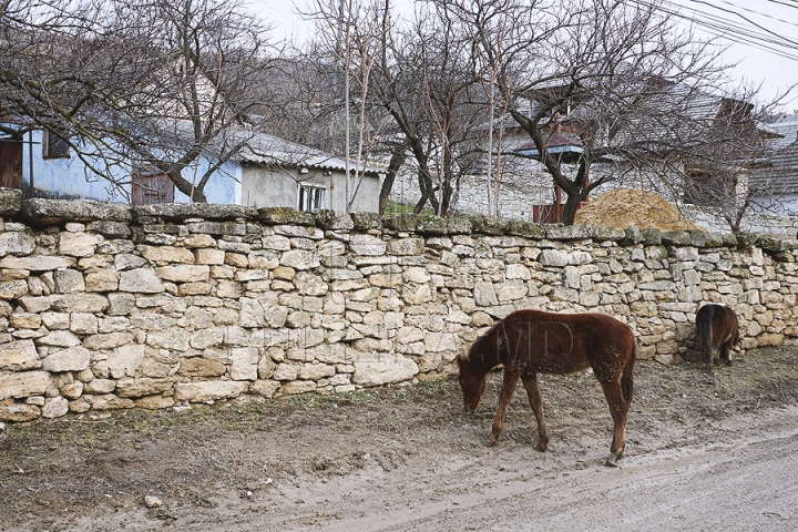 ''Ne mândrim''. Locuitorii satelor din zona Orheiul Vechi, impresionaţi de posibilitatea de a ajunge în lista UNESCO