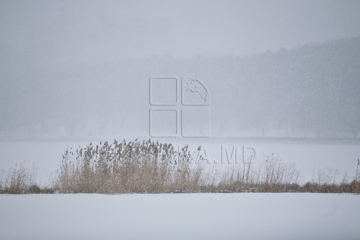 FOTOGRAFII IMPRESIONANTE cu zăpada care a acoperit capitala în ajun de Crăciun