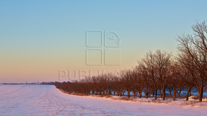 Peisaje de iarnă inedite. Cum arată Moldova în luna lui gerar (GALERIE FOTO)