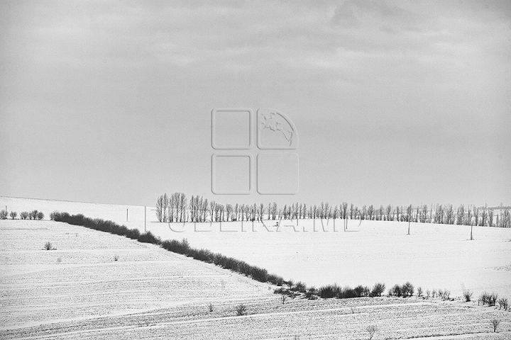 Peisaje de iarnă inedite. Cum arată Moldova în luna lui gerar (GALERIE FOTO)