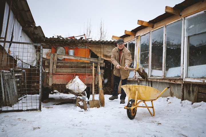 Forfotă mare în ajun de Crăciun. Moldovenii își pregătesc casa și curtea de sărbătoare (GALERIE FOTO)