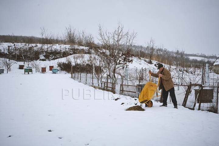 Forfotă mare în ajun de Crăciun. Moldovenii își pregătesc casa și curtea de sărbătoare (GALERIE FOTO)