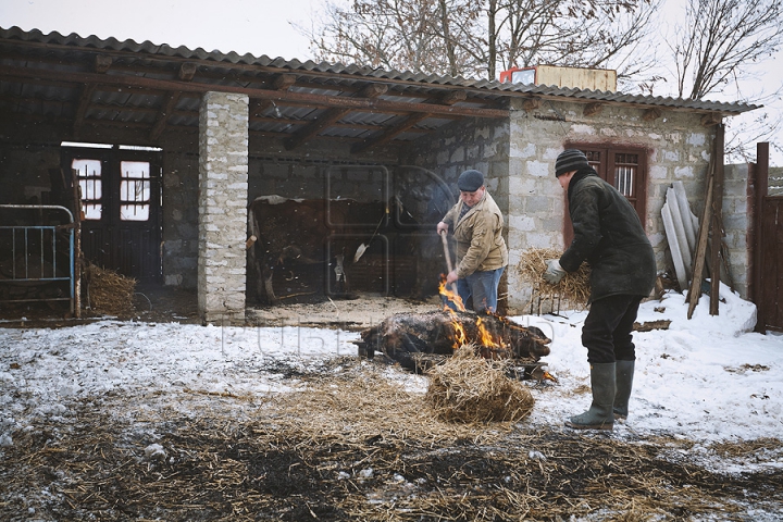 Forfotă mare în ajun de Crăciun. Moldovenii își pregătesc casa și curtea de sărbătoare (GALERIE FOTO)