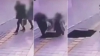 INCREDIBIL! Doi coreeni s-au prăbuşit sub pământ în plină stradă (VIDEO)