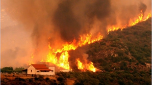 Incendii DEVASTATOARE în Chile. Sudul ţării se află în ALERTĂ MAXIMĂ