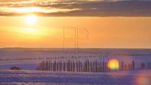 Vreme frumoasă şi însorită! În următoarele zile temperaturile devin tot mai blânde